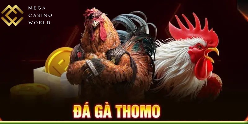 Đá gà Thomo
